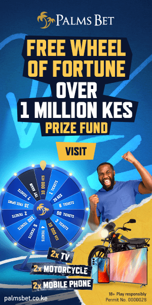 2023-12-PBKenya-WheelOfFortune-Website-300x600